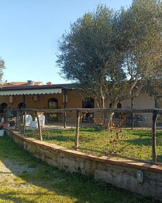 Casa, Montoro.