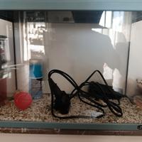 Acquario da 24 litri 