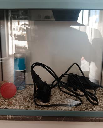 Acquario da 24 litri 