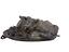 Immagine 5