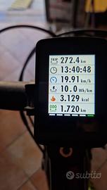 MTB elettrica Olympia ex900