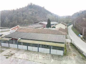 Immobile in asta di 1313 m² a Rocca d'Arazzo