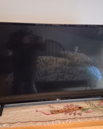 LG SMART TV