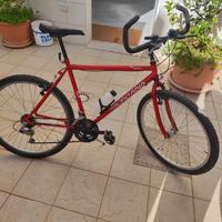 bicicletta