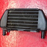 RADIATORE OLIO SX DX BMW R850R