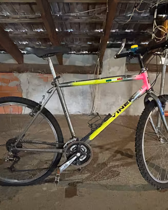 MTB viner