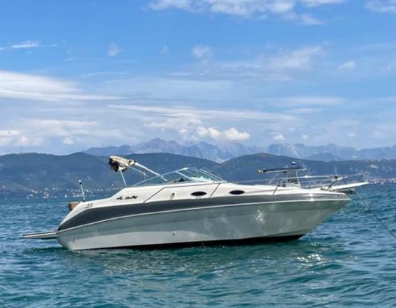 Sea ray con posto barca