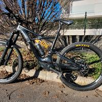 specialaizer  Kenevo