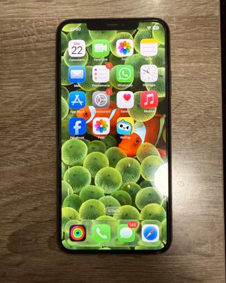 Iphone 11 pro max 256 gb