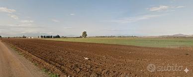 Terreno agricolo - Sestu (Cagliari)
