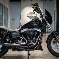 Harley-Davidson dyna street bob