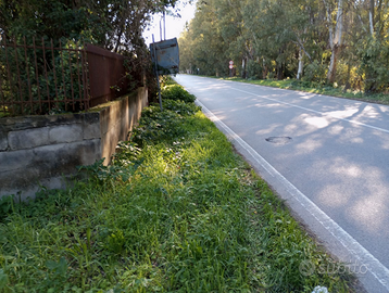 Terreno agricolo