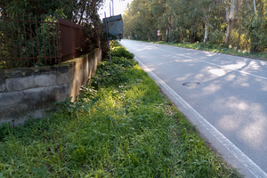 Terreno agricolo