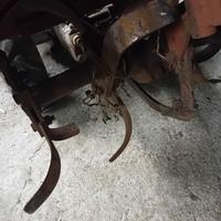 motocoltivatore  carraro 