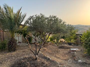 Casa di Campagna: Prezzo Interessante!