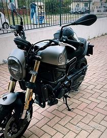 Benelli Leoncino 800 2022