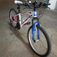 SUPREMA 24 MOUNTAIN BIKE