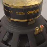 Coppia di subwoofer Monacor