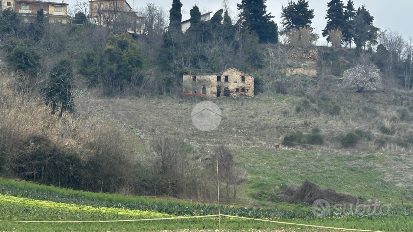 TER. AGRICOLO A RIPATRANSONE - Altro