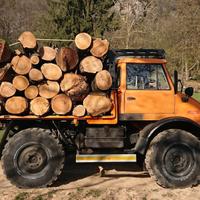 legna di castagno in barra 