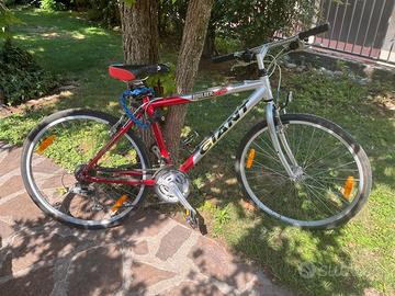  biciclette 