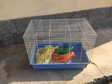 Gabbia per Furetto