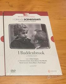 I grandi sceneggiati Rai ( “ I Buddenbrook”)