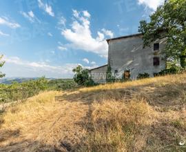 Ampio Rustico indipendente su quattro livelli con