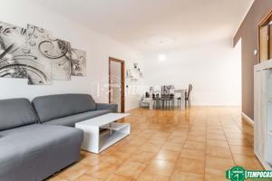 QUATTRO LOCALI CON CANTINA E BOX
