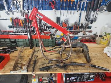 grizzly 10 da restaurare