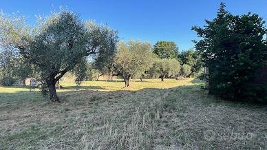 Terreno Agricolo Civita Castellana