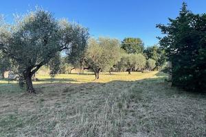 Terreno Agricolo Civita Castellana