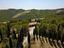 Immagine 29