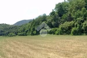 TER. AGRICOLO A ROVOLON