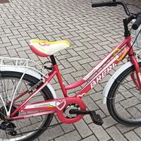 BICICLETTA (24) brera
