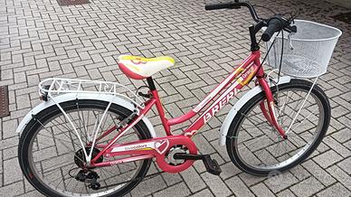 BICICLETTA (24) brera