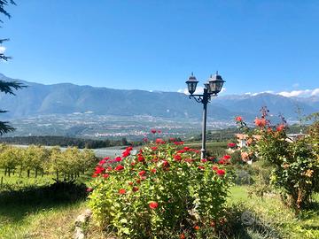 Val di Non - Terreno agricolo 1060 mq