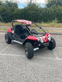 Buggy racer 500 (omologata autocarro))