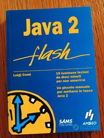 Java 2 flash Luigi Comi