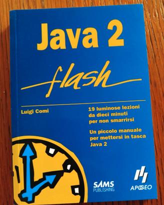 Java 2 flash Luigi Comi