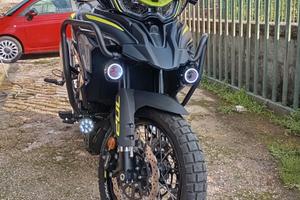 Benelli TRK 702 - 2024