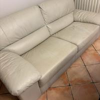 Divano in pelle  Divani e Sofà