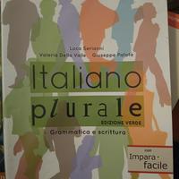 italiano plurale edizione verde 
