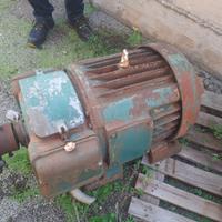 Motori elettrici