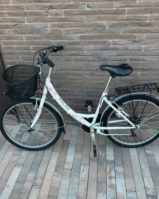 Bici da citta Polar