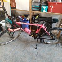 Mountainbike Vetta ruota 26''