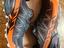 Immagine 1