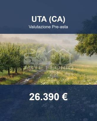 Immobile in asta di 13605 m² a Uta