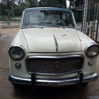 Fiat 1100 103 D e 1200 Granluce  Ricambi