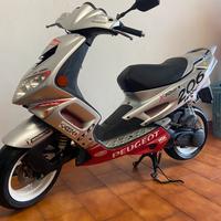 Peugeot X FIGHT 206 WRC CONSERVATO